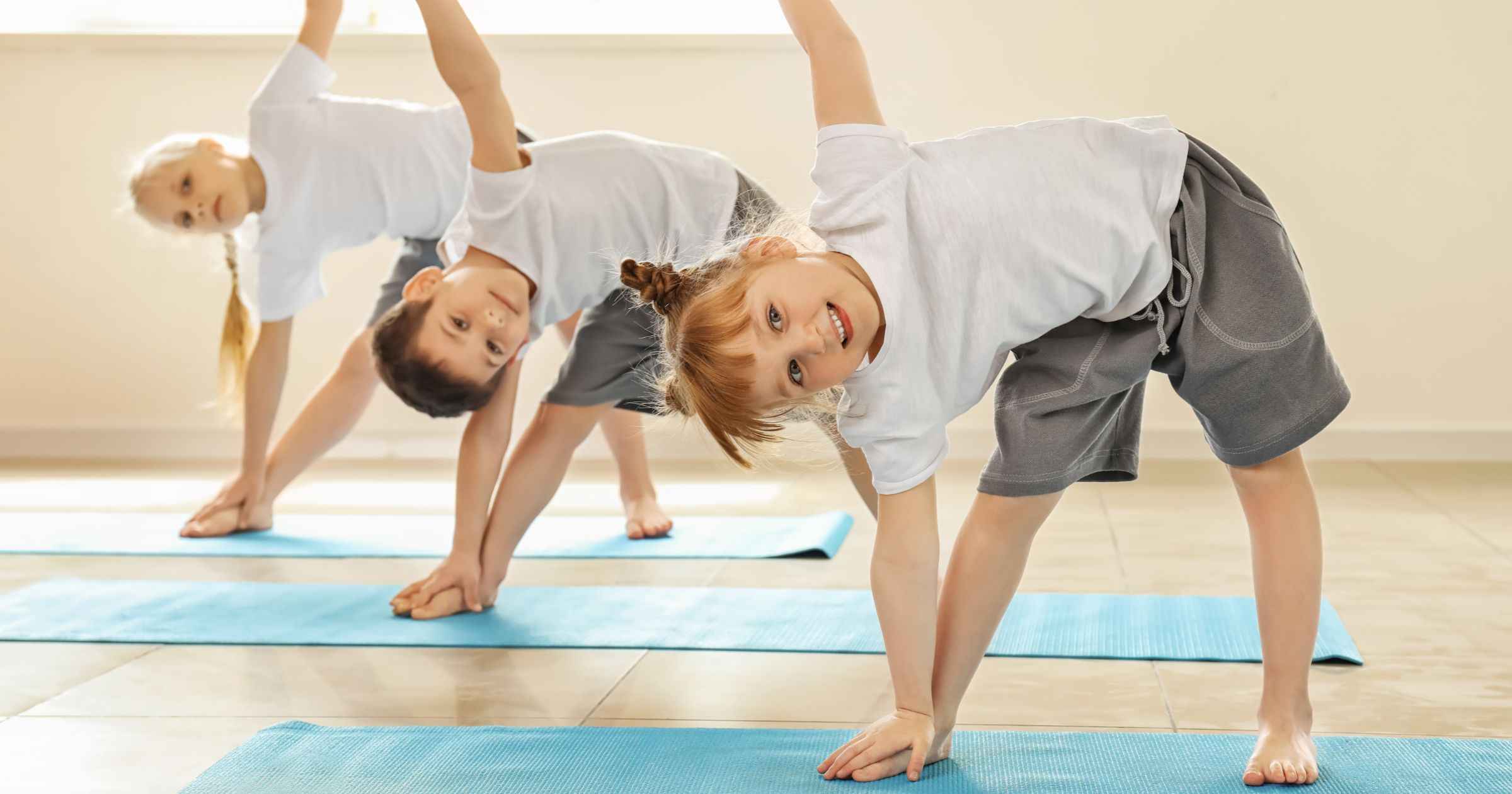 Ejercicios flexibilidad educación física