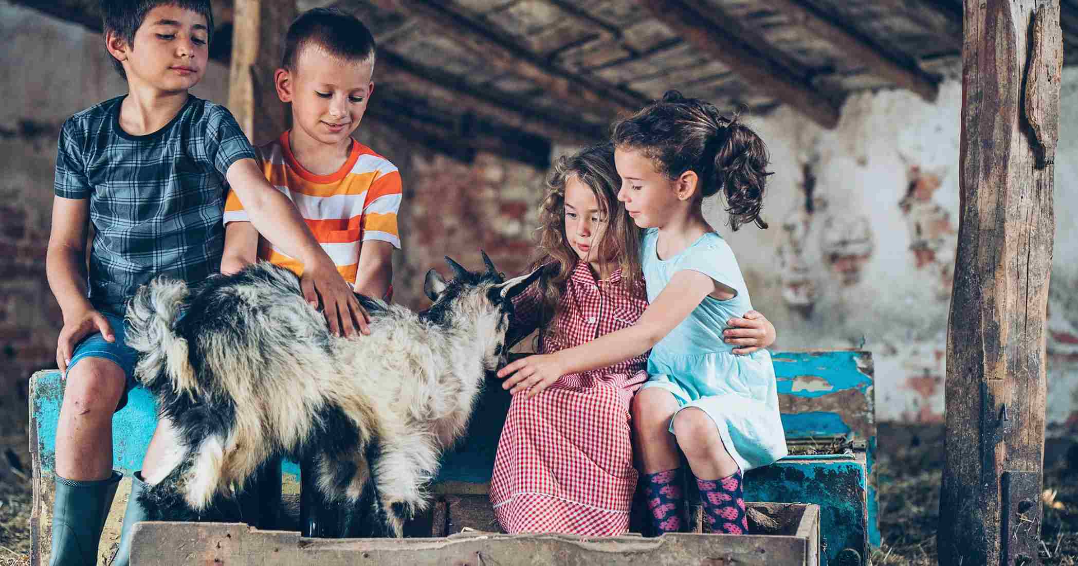 Granja escuela